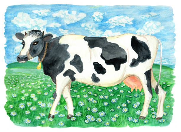 istock Cow on the green field with daisy flowers 837996458