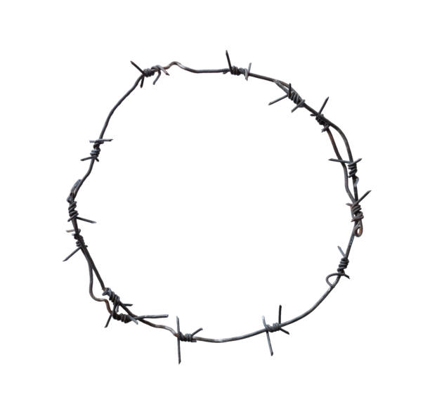 círculo de arame farpado - barbed wire wire isolated nobody - fotografias e filmes do acervo