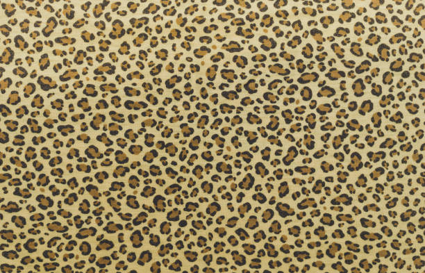 istock Skin of a jaguar. Spotted fabric 838001764