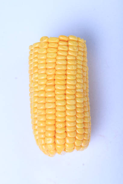 옥수수 흰색 배경의  - corn on the cob macro corn crop freshness 뉴스 사진 이미지