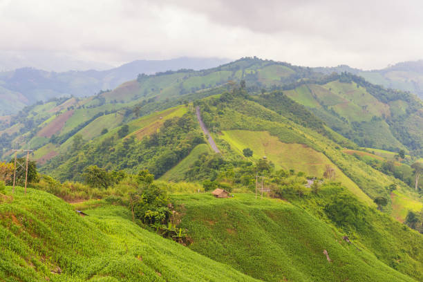 istock Mountain view along the road with cloud sky at Nan Thailand 838008716