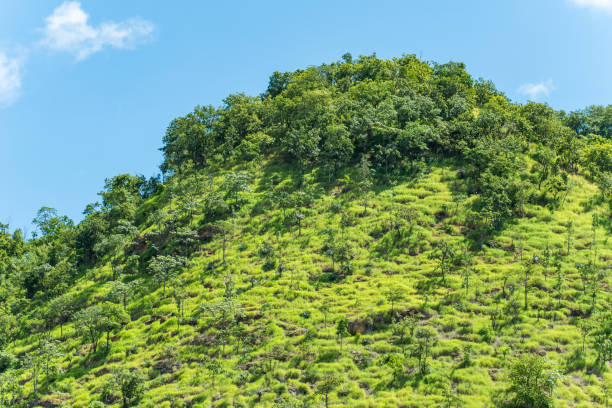 istock Green mountain and blue sky 838011594