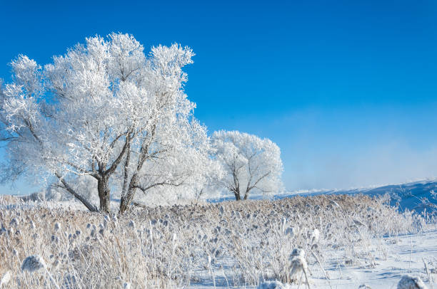 istock The winter sun frost. cold 838016928