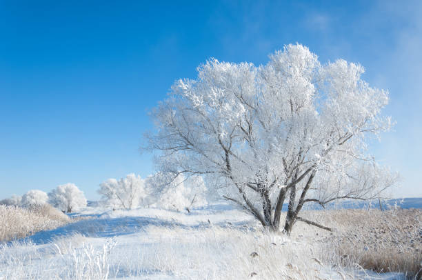 istock The winter sun frost. cold 838016996