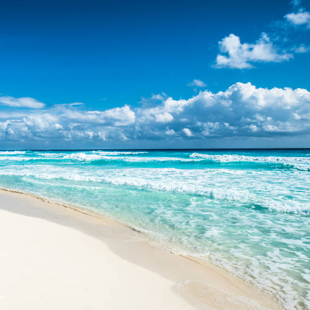 istock Caribbean beach panorama, Tulum, Mexico 838020280