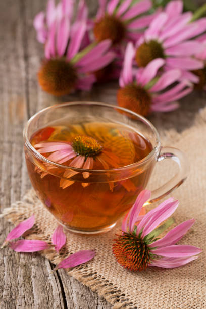 istock Cup of echinacea tea on old wooden table 838020404