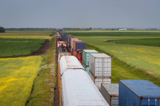 deux trains passant à travers champs dynamiques dans la prairie - manitoba prairie landscape canada photos et images de collection