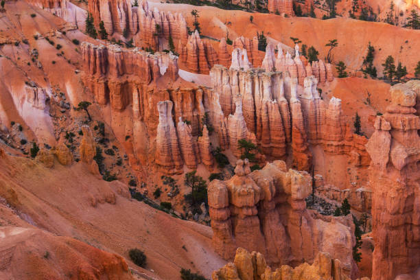 istock Scenery in Bryce Canyon National Park, under warm sunrise light 838023306