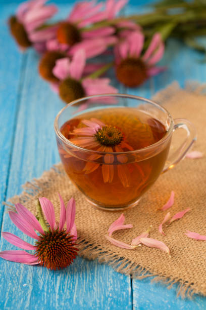 istock Cup of echinacea tea on blue wooden table 838023746