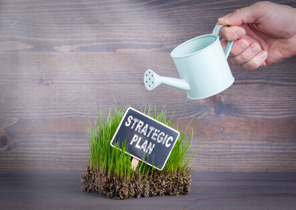 istock Strategic Plan concept. Fresh and green grass on wood background 838031960