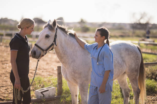 istock Jockey talking to vet while standing by horse at barn 838036366