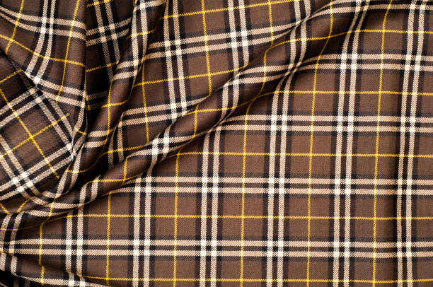 istock The fabric in the Scottish style. Warm plaid 838040918