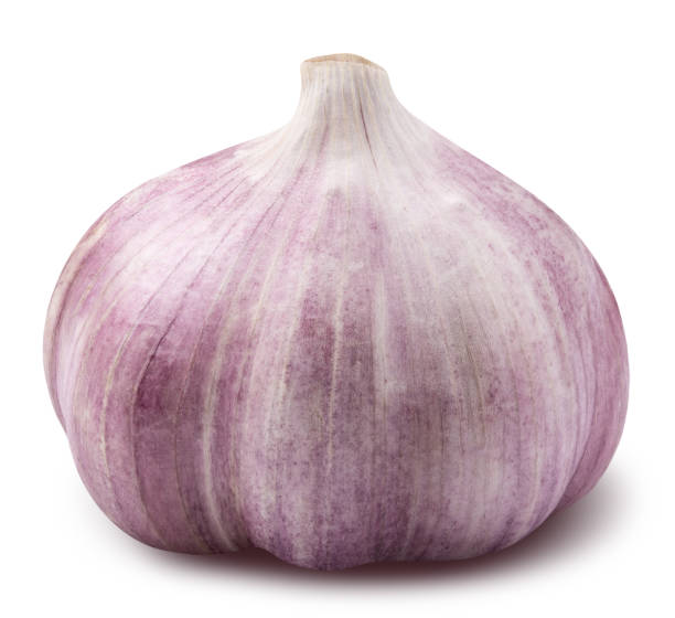 istock Garlic whole isolated on white background 838041296