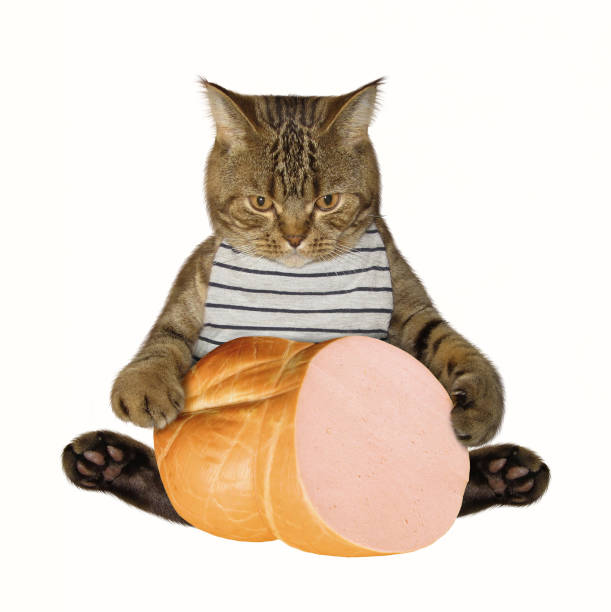 istock Cat and piece of sausage 838043764