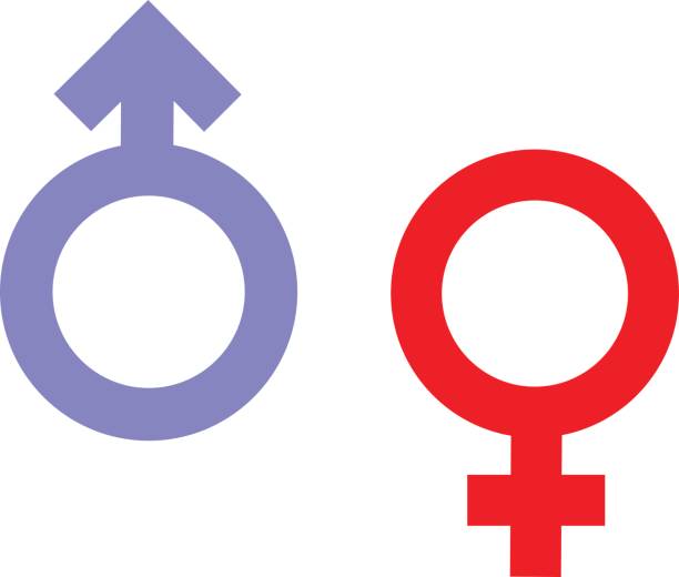 Gender inequality and equality icon symbol. Male Female girl boy woman man transgender icon. Mars vector symbol illustration. Gender inequality and equality icon symbol. Male Female girl boy woman man transgender icon. Mars vector symbol. female gender symbol stock illustrations