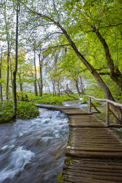 istock waterfall at  