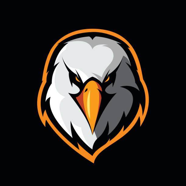 ilustrações de stock, clip art, desenhos animados e ícones de furious eagle head athletic club vector logo concept isolated on black background. - mascot anger baseball furious