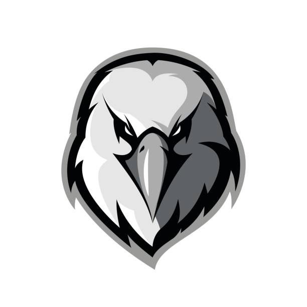 ilustrações de stock, clip art, desenhos animados e ícones de furious eagle head athletic club vector logo concept isolated on white background. - mascot anger baseball furious