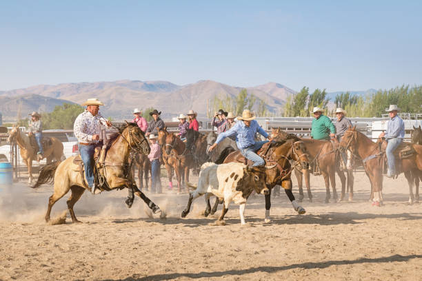 istock Rodeo Riding Action Cowboys Chasing Bull 838074730