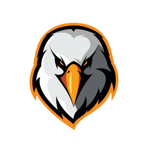 ilustrações de stock, clip art, desenhos animados e ícones de furious eagle head athletic club vector logo concept isolated on white background. - mascot anger baseball furious
