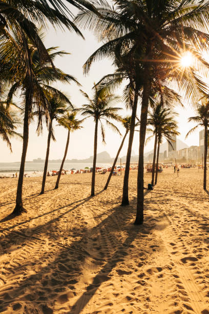 istock Leme and Copacabana beach with palm trees in Rio de Janeiro 838075792