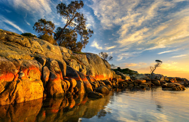 Morning in Binalong Bay Bay of Fires, Tasmania bay of fires photos stock pictures, royalty-free photos & images