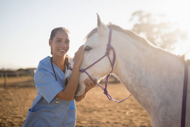 istock Smiling female vet stroking horse at barn 838079224