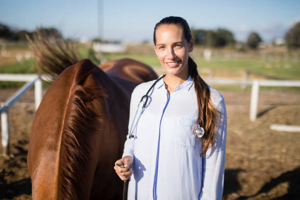istock Confident vet standing by horse at barn 838079436