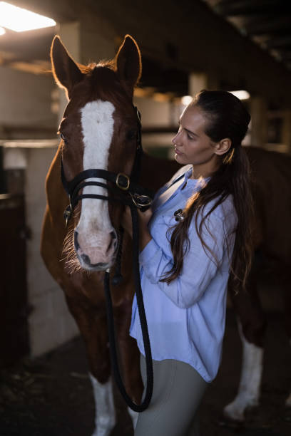 istock Female vet examining brown horse 838079596
