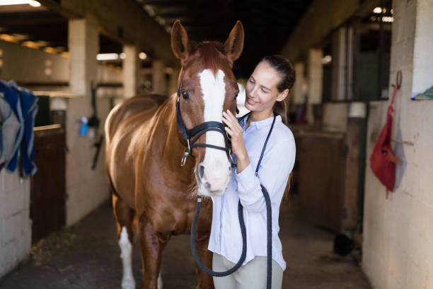 istock Smiling vet strocking horse in stable 838081782