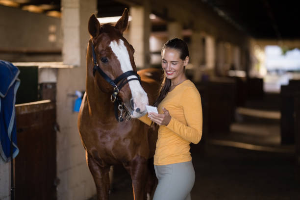 istock Female jockey using smart phone while standing by horse 838082080