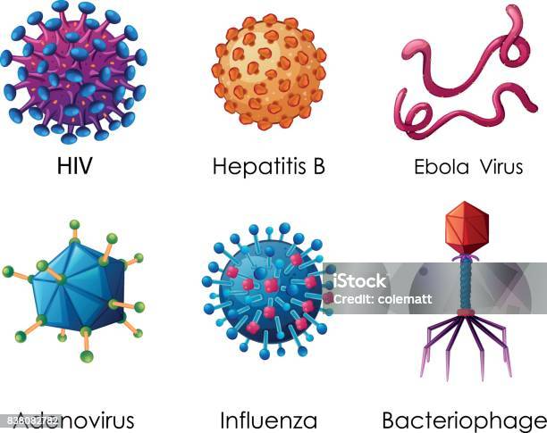 Ilustración de Seis Tipos De Virus Sobre Fondo Blanco y más Vectores Libres de Derechos de Gripe - Gripe, VIH, Virus