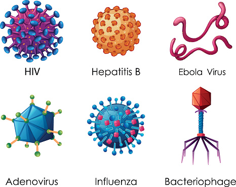 Six types of viruses on white background illustration