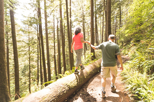 Cute senior couple explore the Pacific Northwest together on a day hiking trip. He is holding her hand while she walks across a log
