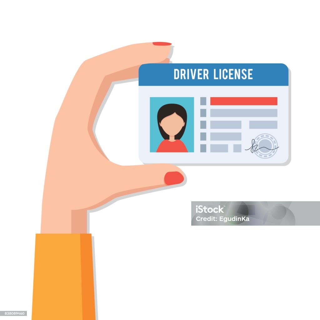 Female hand with driver license Female hand holding a driving licence women. Indification card ID card with photo. Vector illustration in flat style isolated on white background Driver's License stock vector