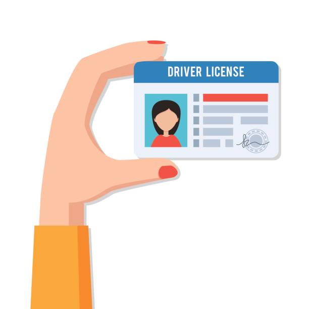 Female hand with driver license vector art illustration