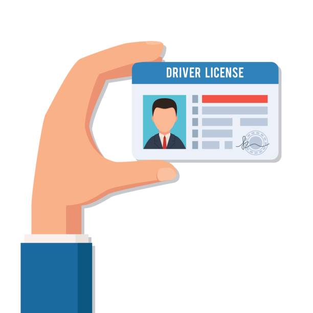 Hand holds a driver license Hand holds a driver license. Indification card photo ID. Vector illustration in flat style isolated on white background driving licence stock illustrations