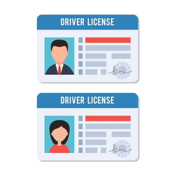 Man and woman driver license Man and woman driver license. Indification card photo ID. Vector illustration in flat style isolated on white background drivers license stock illustrations