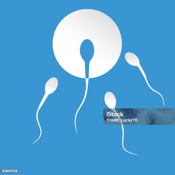 Human Sperm Cell And Male Fertility Stock Illustration - Download Image Now - Sperm, Vector, Human Fertility