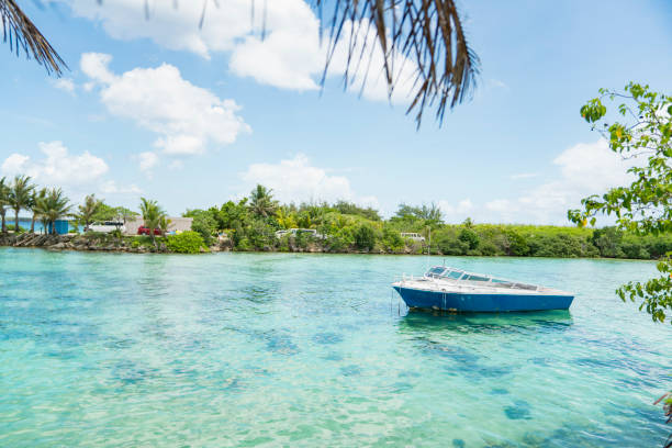 tropical paradise bay, le morne on mauritius island, indian ocean, africa.