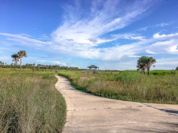 istock hiking trail in the Everglades 838094756