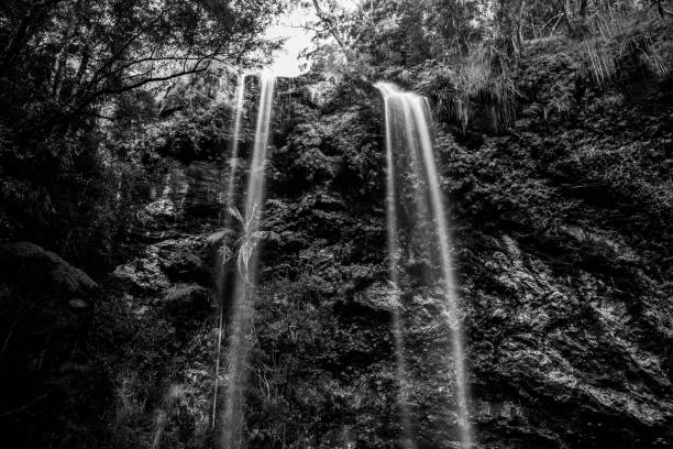 istock Twin Falls waterfall located in Springbrook National Park. 838102732