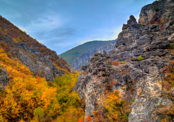 Beautiful landscape in the mountain with colorful autumn forest