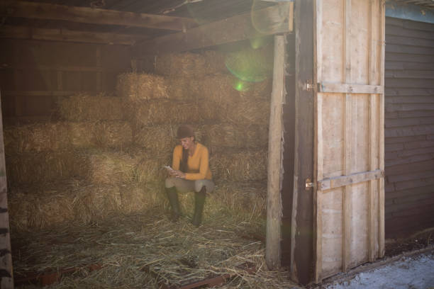 istock Jockey using phone in stable seen through doorway 838110268