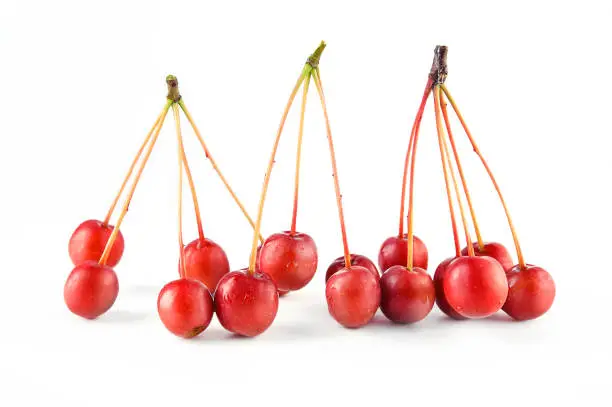 Small wild red crab apples (rennet) isolated on white background. Top view.