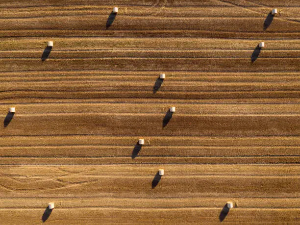 Germany: Traces from combine harvester and hay bales on a grainfield from above.