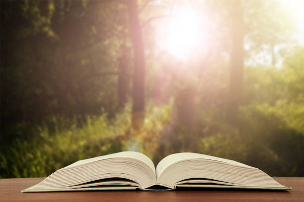 istock Open book on wood planks over abstract light background 838118368