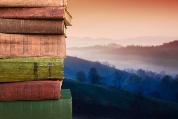 istock stack of books over the natural background 838118572