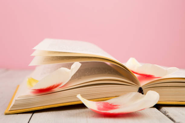 istock education and reading concept - open book with flower leafs 838119142