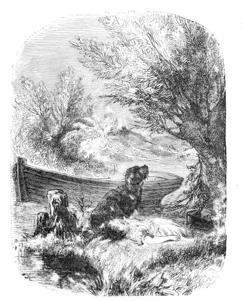 19th century etching of a young girl lying on a riverbank next to a river while a dog sits guard over her; 1889 Taken from the Juvenile Magazine of 1889 and a story about a young girl who falls into the river and is rescued by her dog. rescue dogs stock illustrations